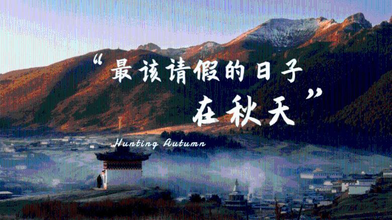 球球大作战下载最新版